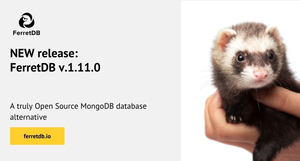 FerretDB v.1.11.0 - new release